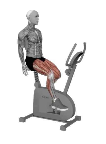 Cycling (Stationary Bike) exercise demonstration