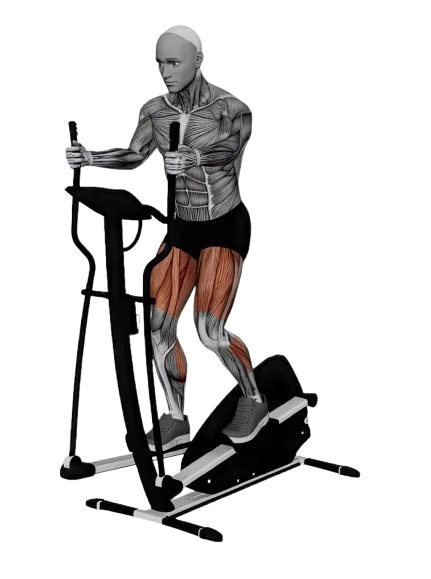Elliptical (Machine) exercise demonstration