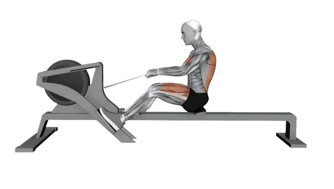 Rowing (Machine) exercise demonstration