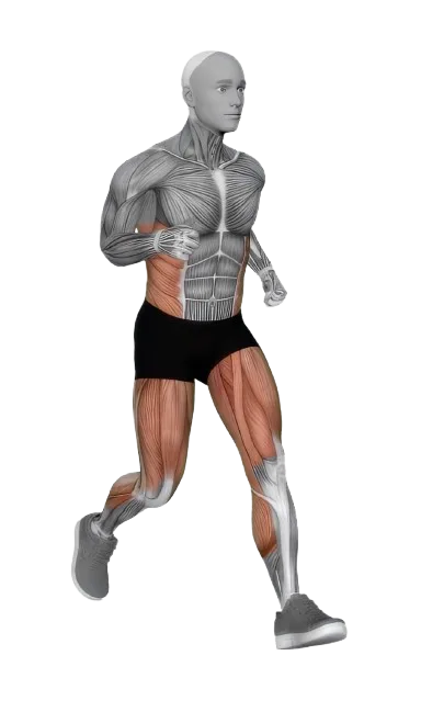 Run (Outdoor) exercise demonstration