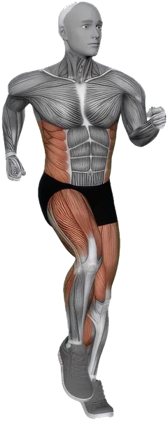 Run (Sprints) exercise demonstration