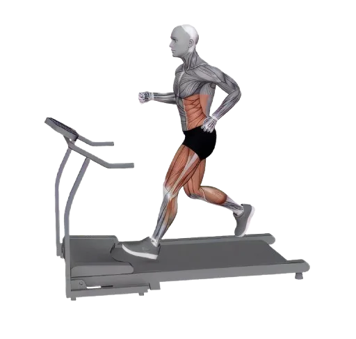 Run (Treadmill) exercise demonstration