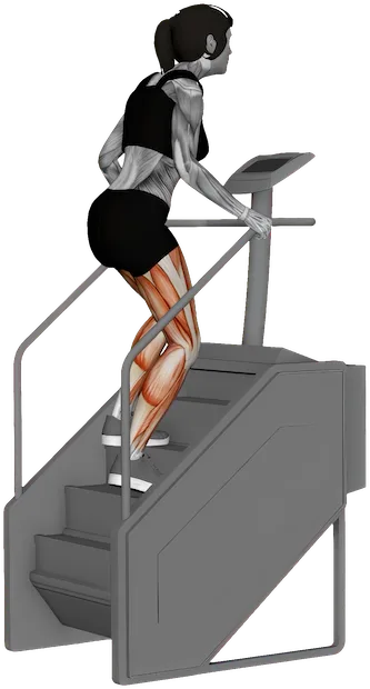 Stair Climber (Machine) exercise demonstration