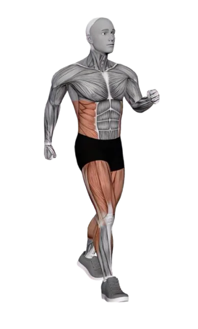 Walk (Outdoor) exercise demonstration