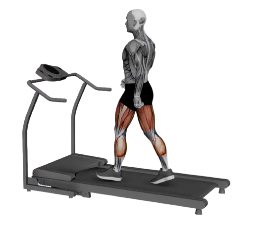 Walk (Treadmill) exercise demonstration