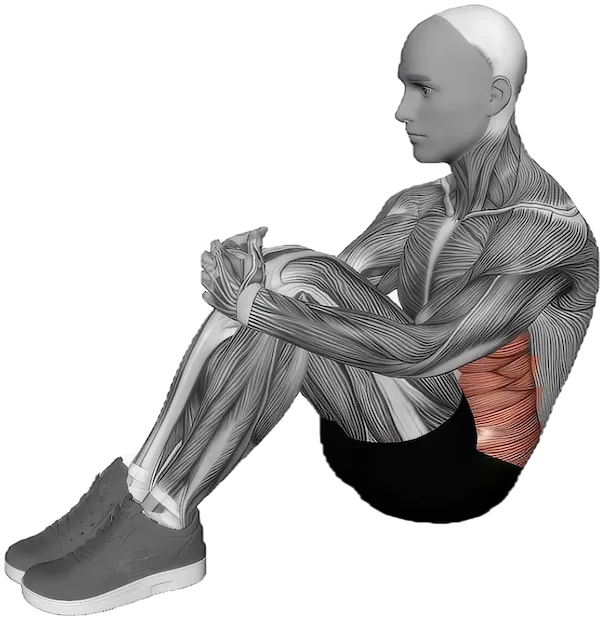 Ab Stretch exercise demonstration