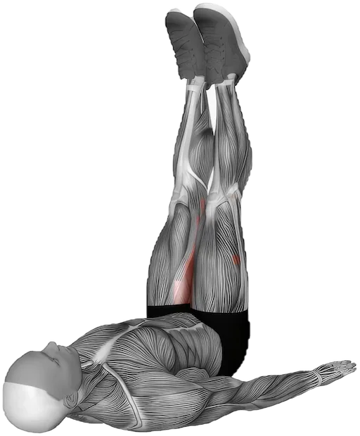Adductor Stretch exercise demonstration