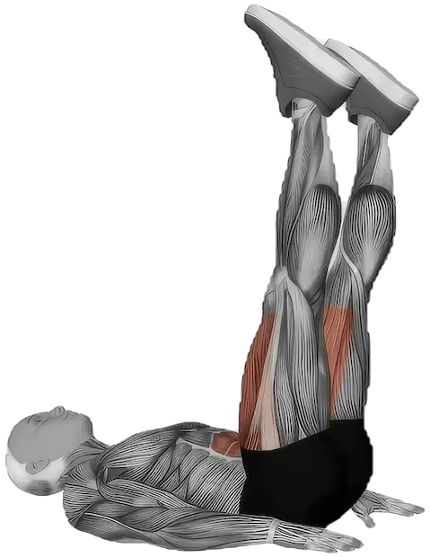 Alternate Leg Raise exercise demonstration