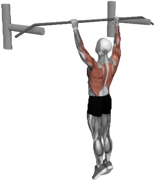 Archer Pull Up exercise demonstration