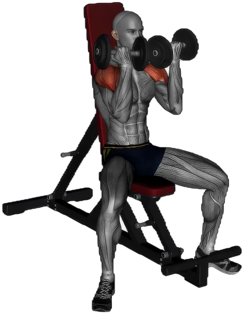 Arnold Press exercise demonstration