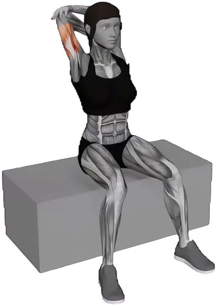 Back and Shoulder Stretch exercise demonstration