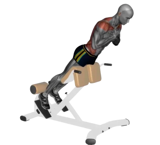 Back Extension exercise demonstration