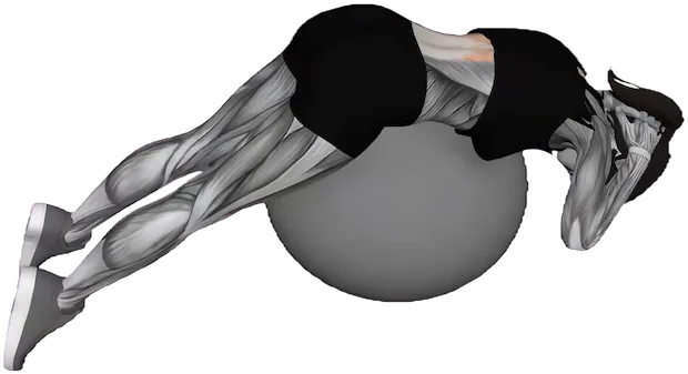 Back Extension exercise demonstration
