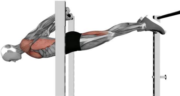 Back Lever exercise demonstration