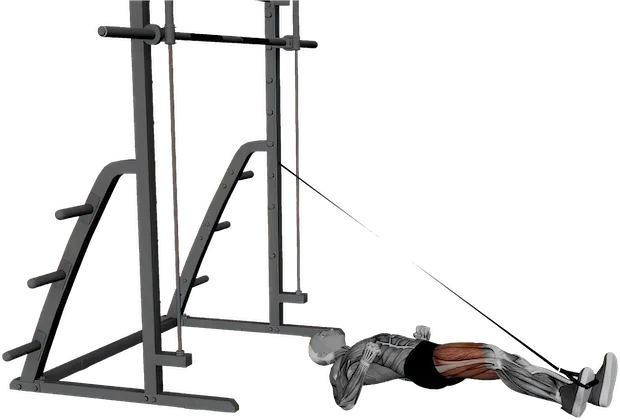Band Leg Press exercise demonstration