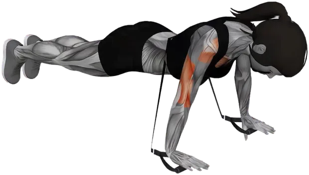 Band Push Up exercise demonstration