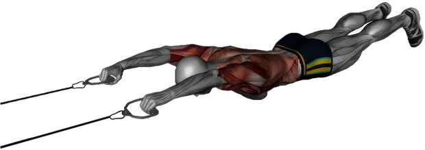 Band Superman Pull exercise demonstration