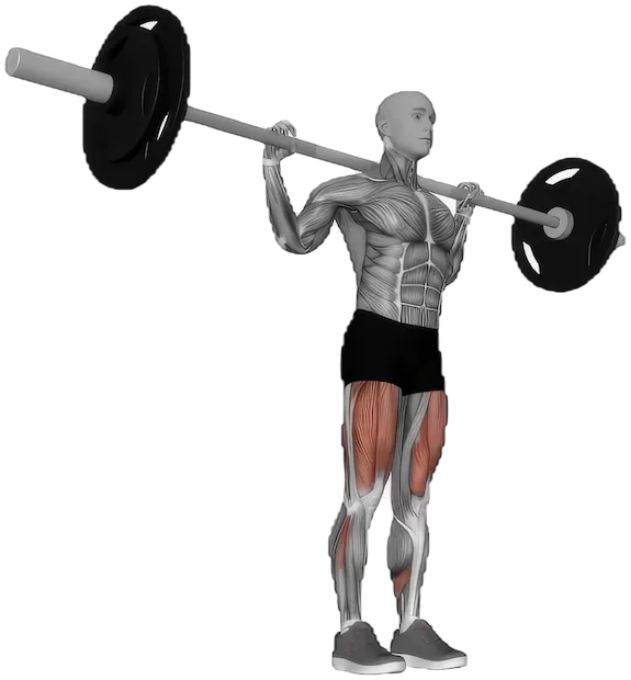 Barbell Lunges exercise demonstration
