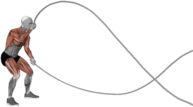 Battle Ropes Alternating Waves exercise demonstration