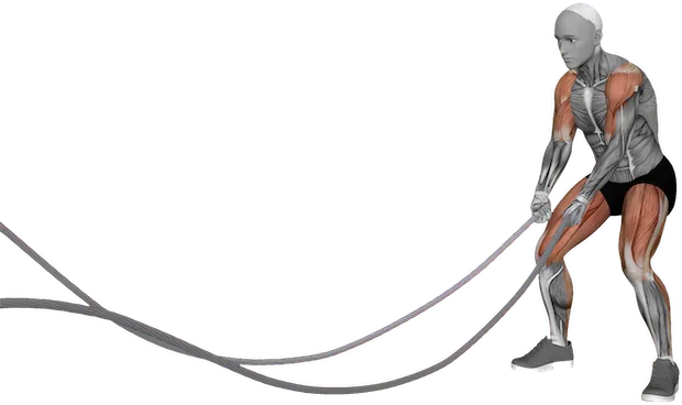 Battle Ropes Slams exercise demonstration