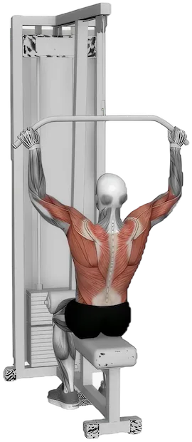 Behind the Neck Pulldown exercise demonstration