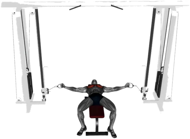 Bench Cable Fly exercise demonstration