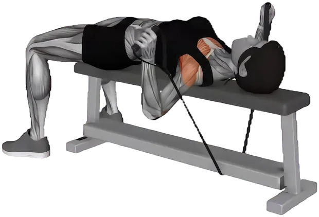 Bench Press exercise demonstration