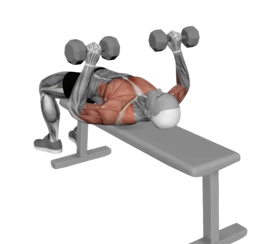 Bench Press exercise demonstration