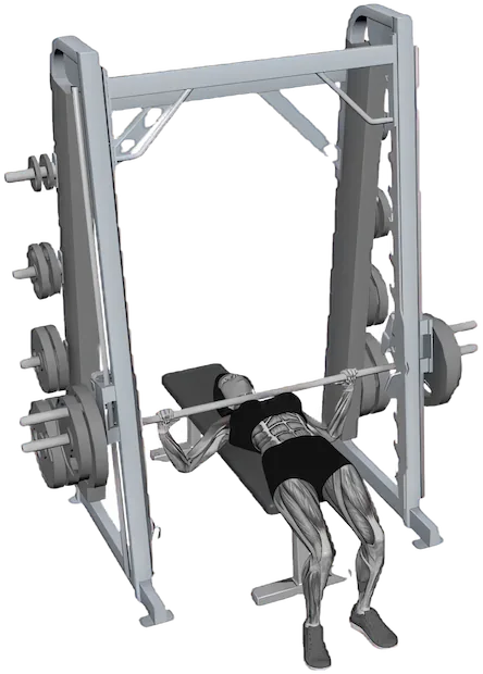 Bench Press exercise demonstration