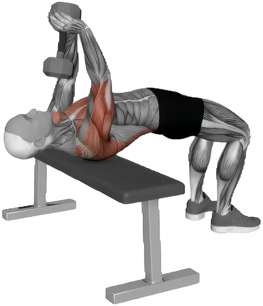 Bent Arm Pullover exercise demonstration