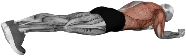 Body Saw exercise demonstration