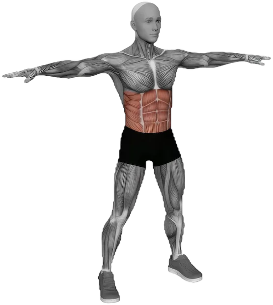 Bodyweight Windmill exercise demonstration