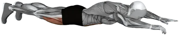 Bow Pose exercise demonstration