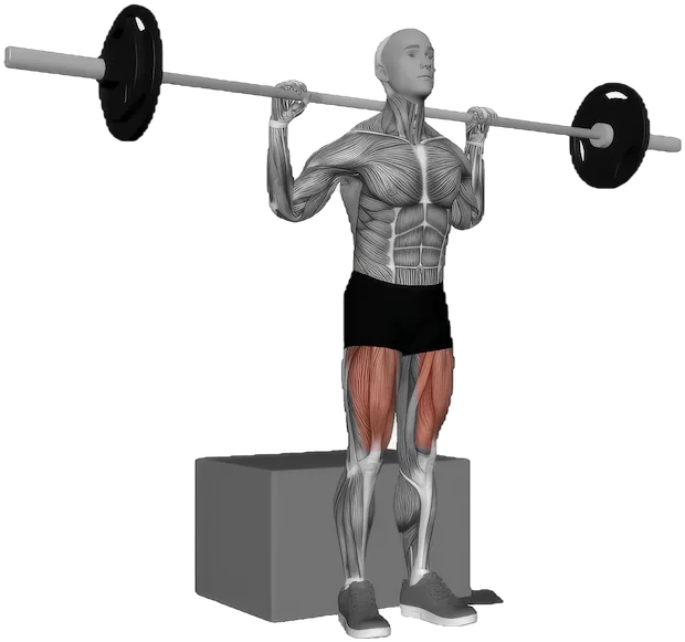 Box Squat exercise demonstration