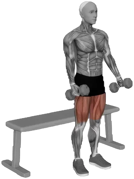 Box Squat exercise demonstration