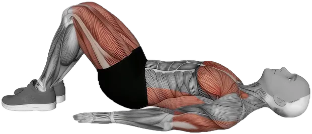 Bridge Pose exercise demonstration
