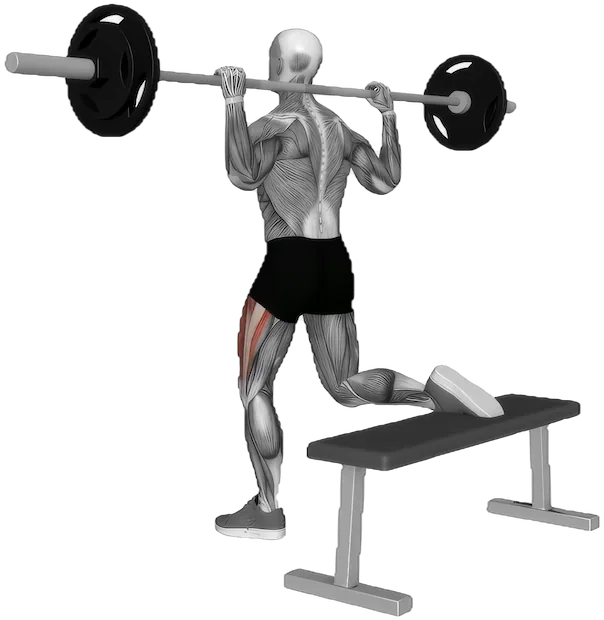Bulgarian Split Squat exercise demonstration