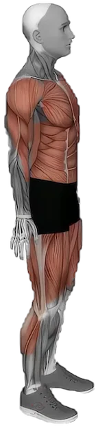 Burpee exercise demonstration