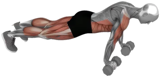 Dumbbell Burpee exercise demonstration
