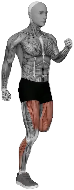 Butt Kicks exercise demonstration