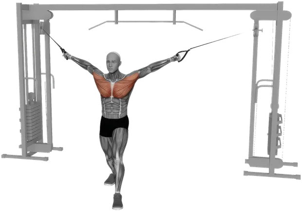 Cable Crossover exercise demonstration