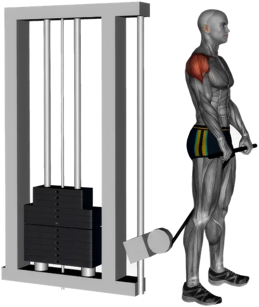 Cable Front Raise exercise demonstration