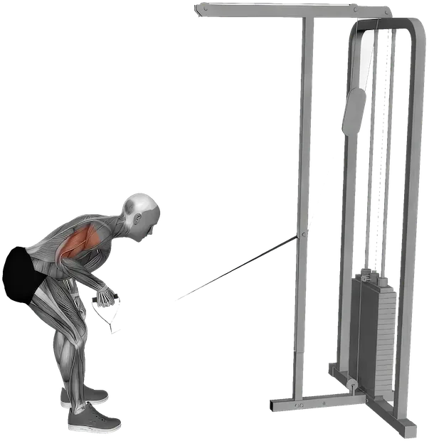 Cable Kickback exercise demonstration