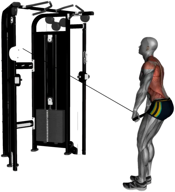 Cable Pullover exercise demonstration