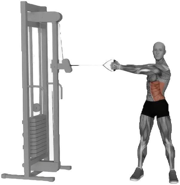 Cable Rotation exercise demonstration