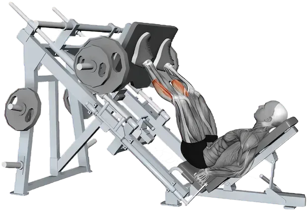 Calf Raise on Leg Press exercise demonstration