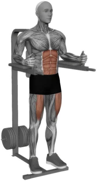 Captain's Chair Leg Raise exercise demonstration