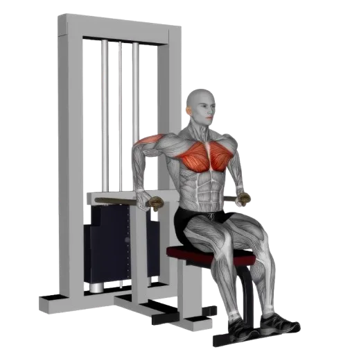 Chest Dip exercise demonstration