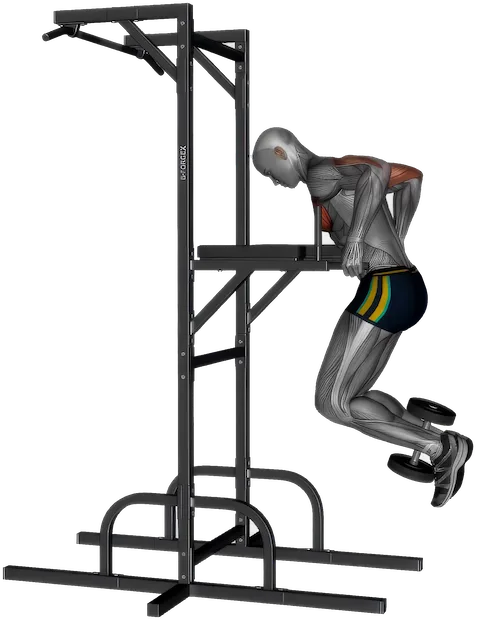 Weighted Chest Dip exercise demonstration