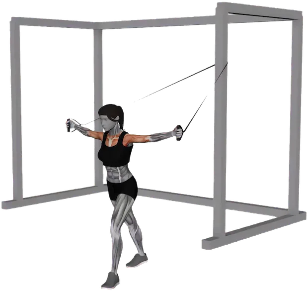 Chest Fly exercise demonstration